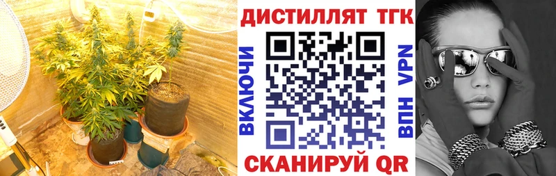 где найти наркотики  Грайворон  Дистиллят ТГК концентрат 